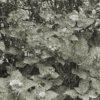 Thumbnail of related posts 151